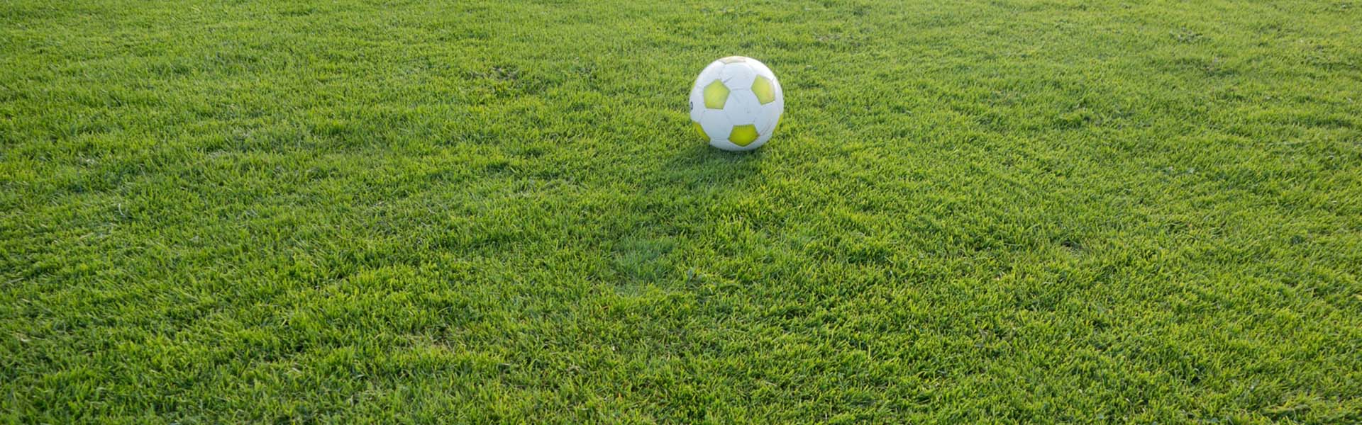 Stor bild över en fotbollsplan, inzoomad på gräset och med en vit boll i övre delen